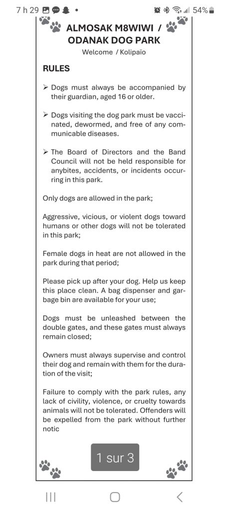 585895106_122104120473126744_4915204078883289404_n