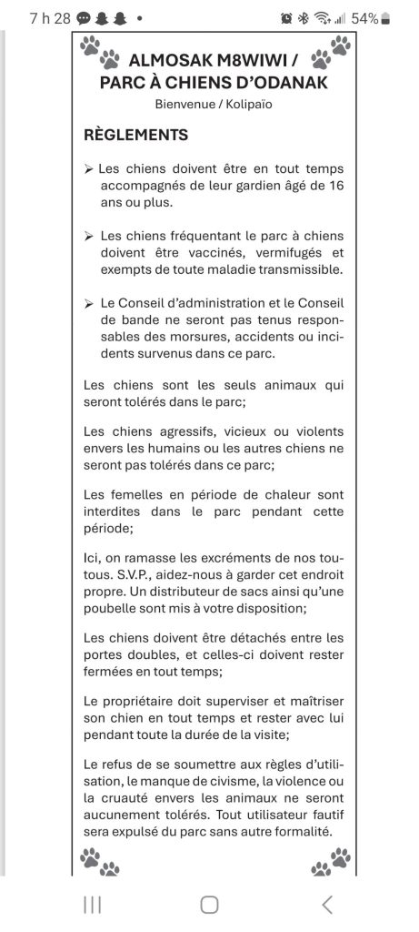 587411239_122104120563126744_798262008886549943_n