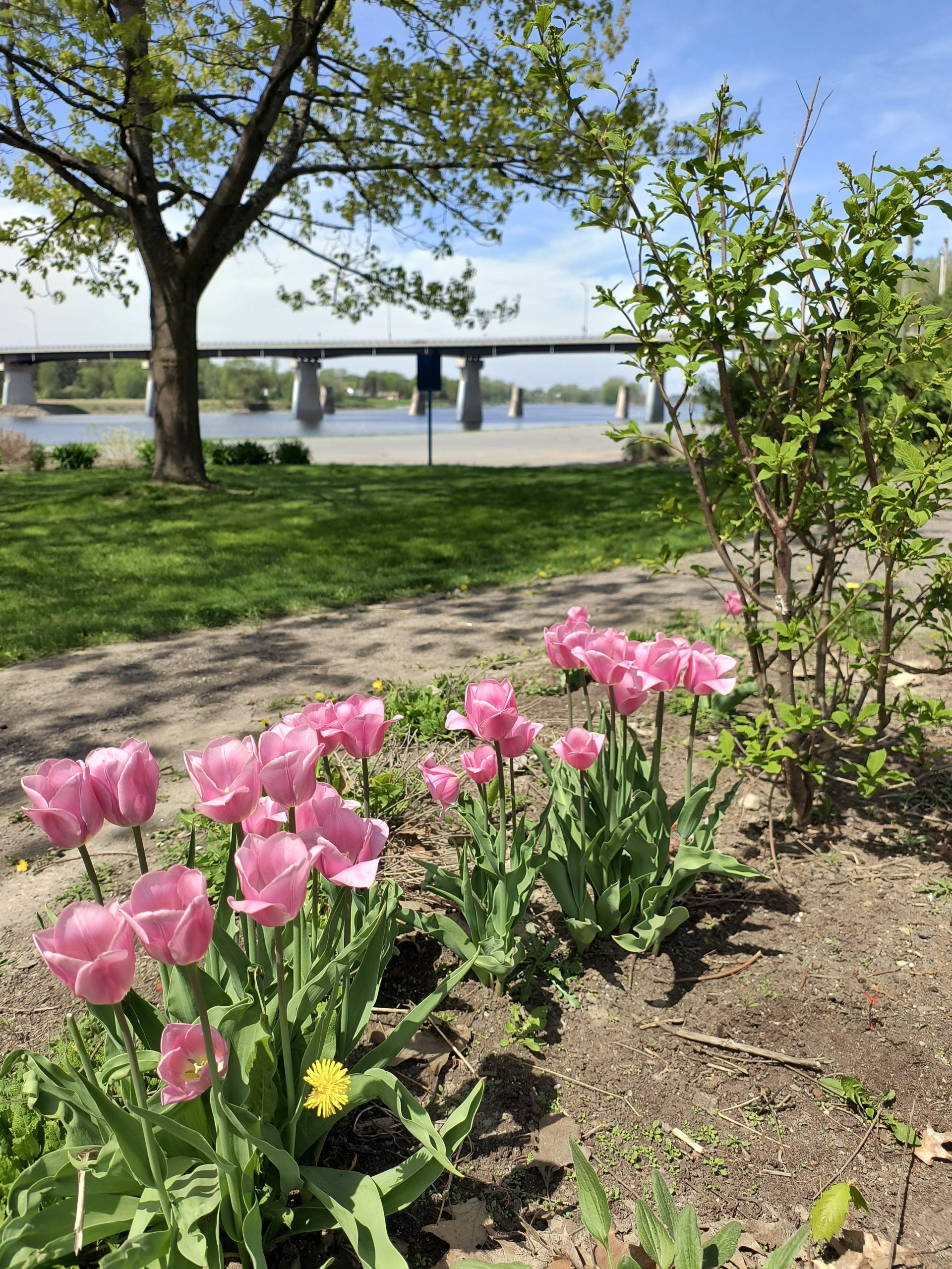 IMG_20250516_112550772_HDR